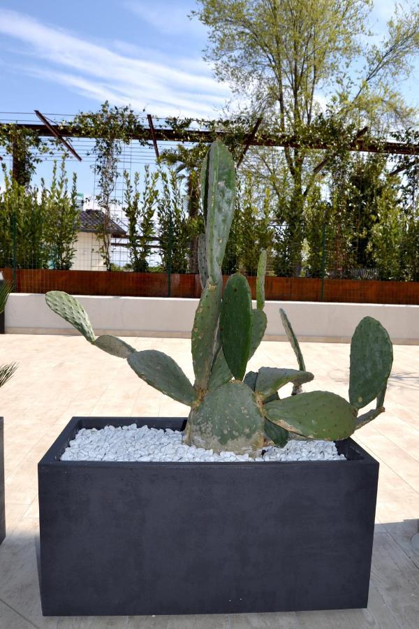 Aura Ar Holiday-home Appartement